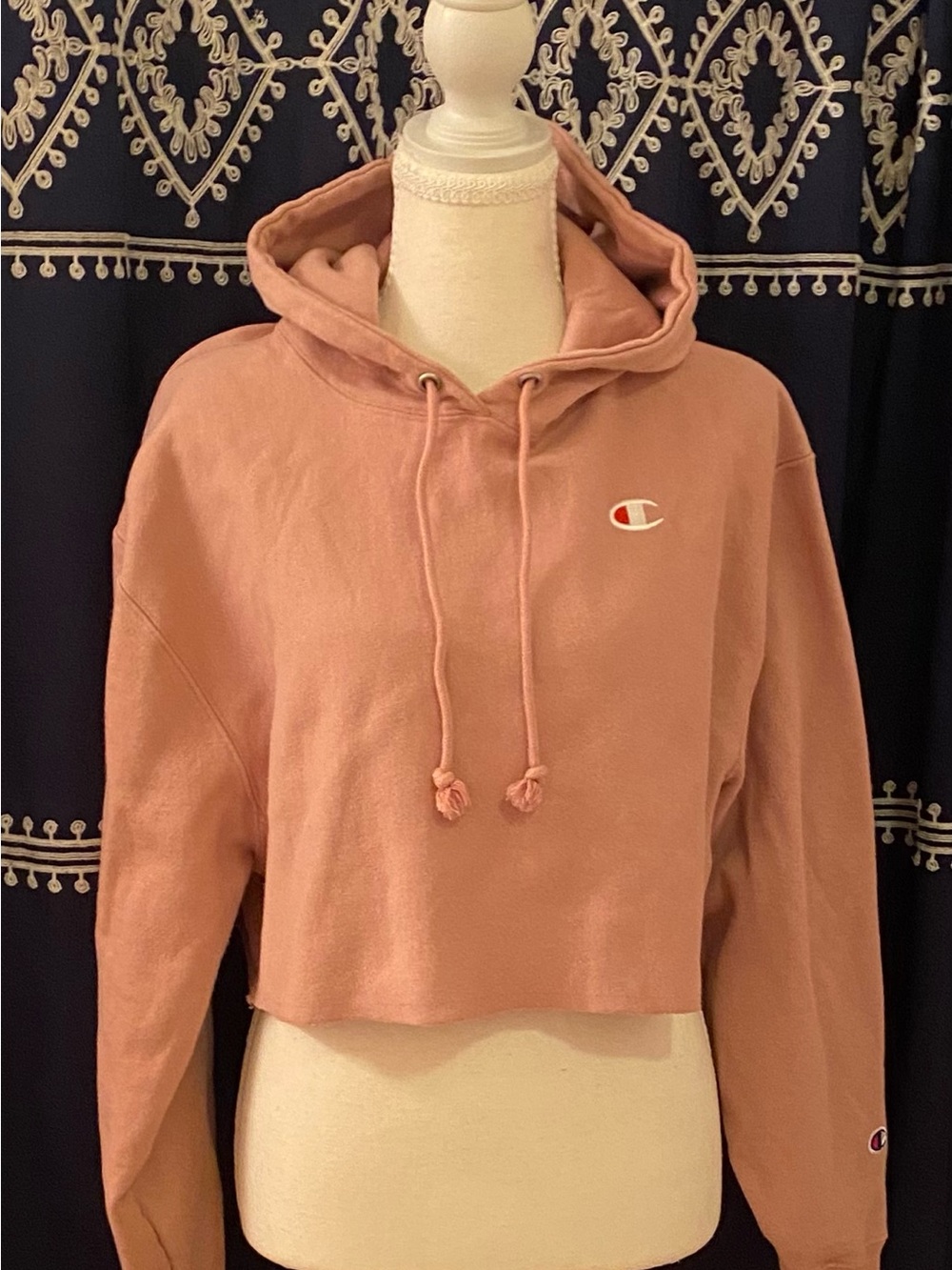 Champion Cropped Hoodie in Dusty Rose